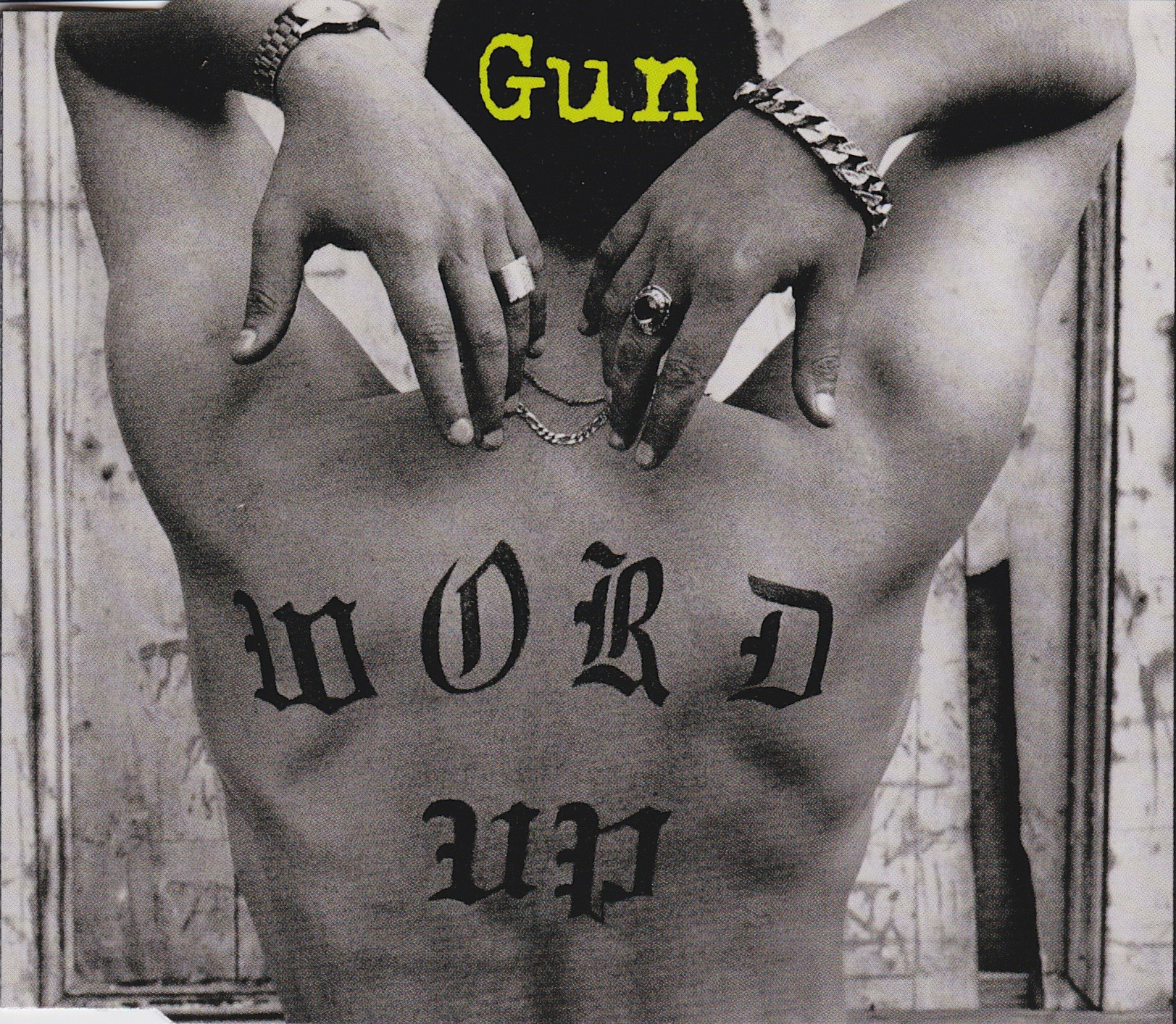 Gun